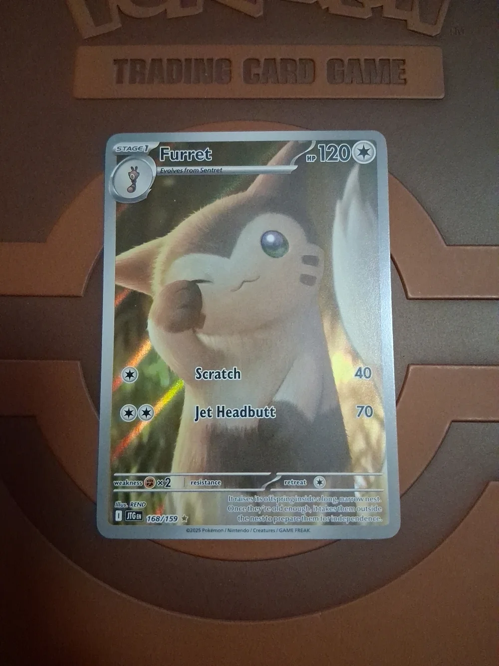 Furret And Noibat Illustration Rare Bundle ~ Plus Special Energy ~ Holo Lot NM